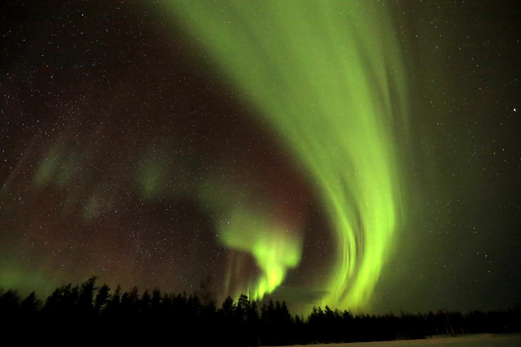 Lapland Northern Lights Hotel Ilveslinna Ranua Zewnętrze zdjęcie
