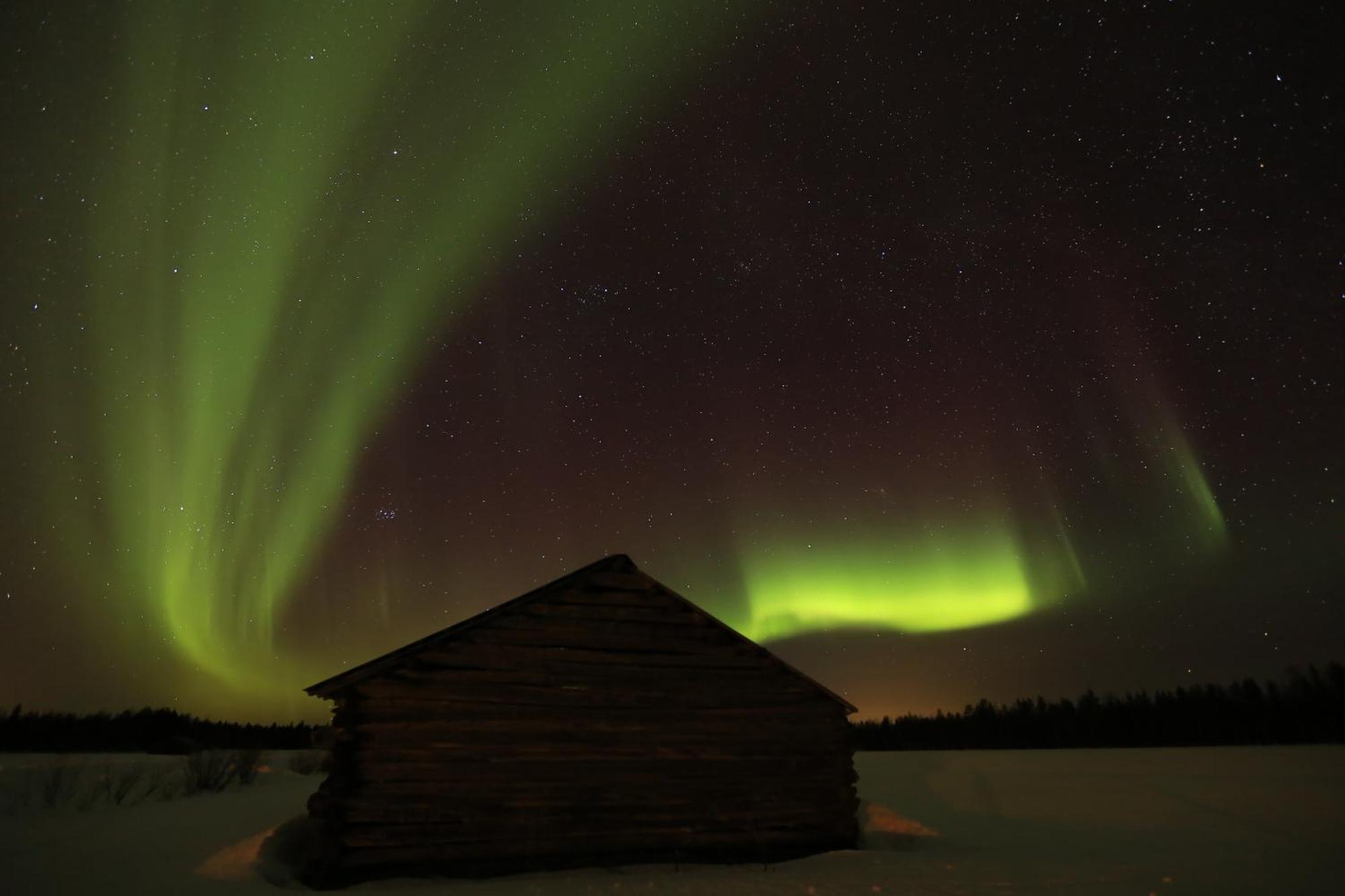 Lapland Northern Lights Hotel Ilveslinna Ranua Zewnętrze zdjęcie