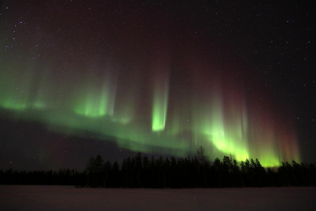 Lapland Northern Lights Hotel Ilveslinna Ranua Zewnętrze zdjęcie
