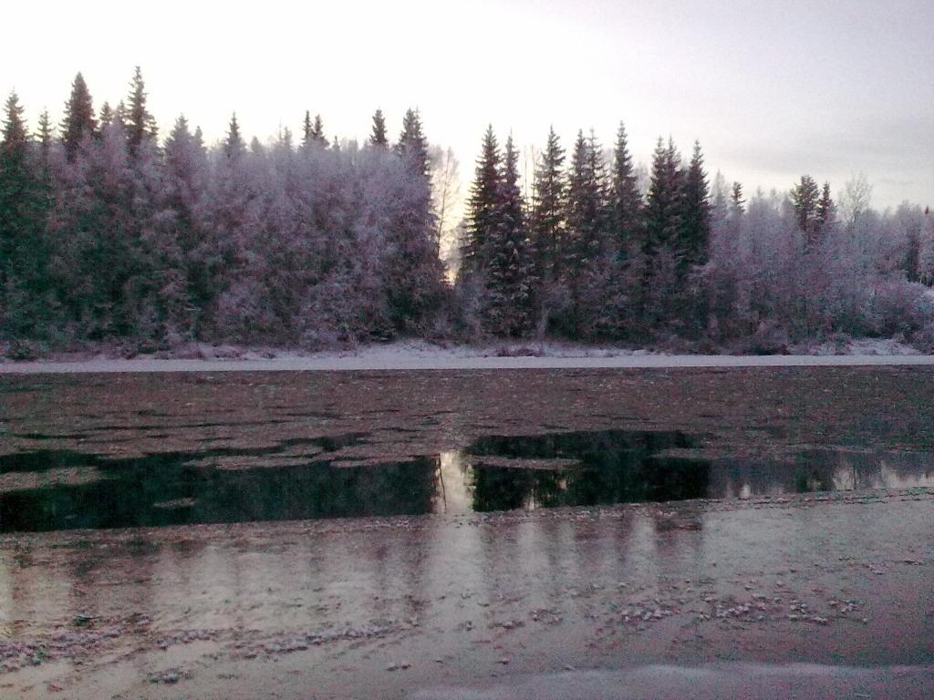 Lapland Northern Lights Hotel Ilveslinna Ranua Pokój zdjęcie
