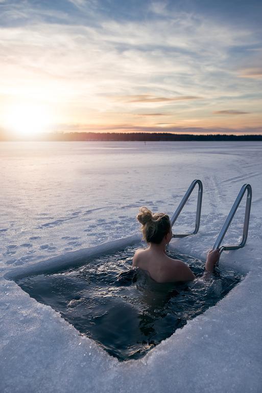 Lapland Northern Lights Hotel Ilveslinna Ranua Zewnętrze zdjęcie