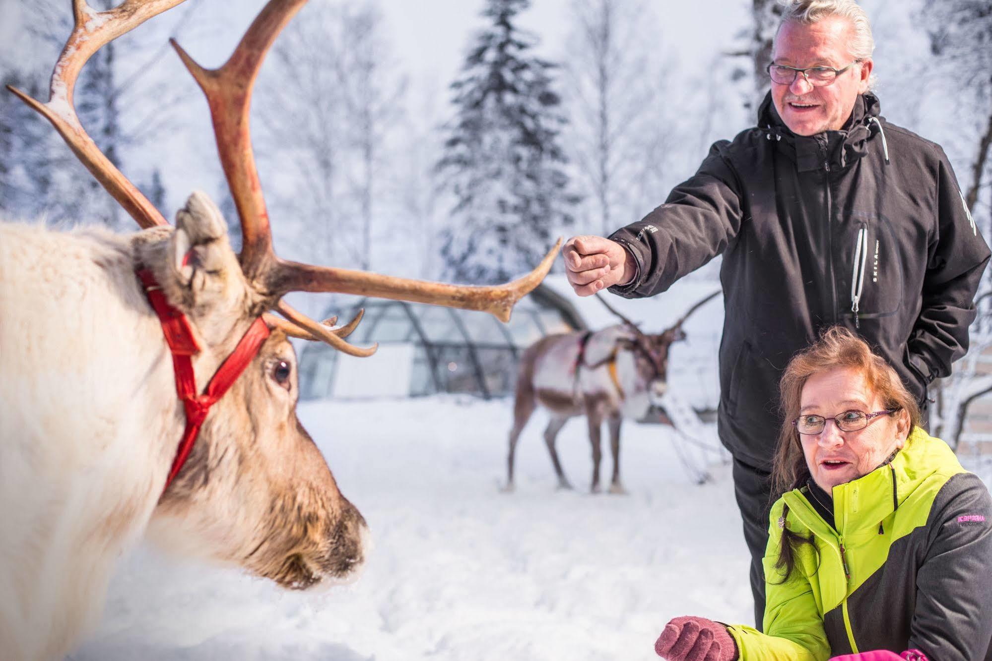 Lapland Northern Lights Hotel Ilveslinna Ranua Zewnętrze zdjęcie