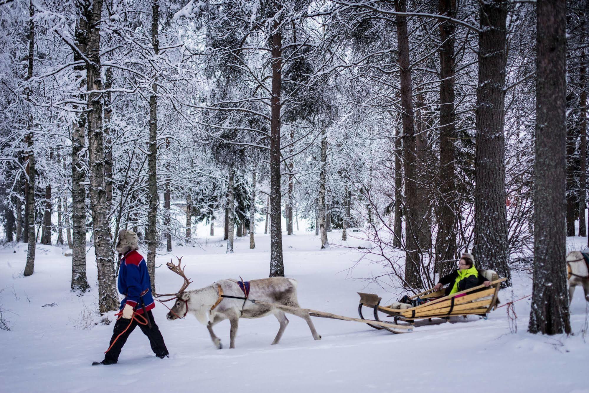 Lapland Northern Lights Hotel Ilveslinna Ranua Zewnętrze zdjęcie