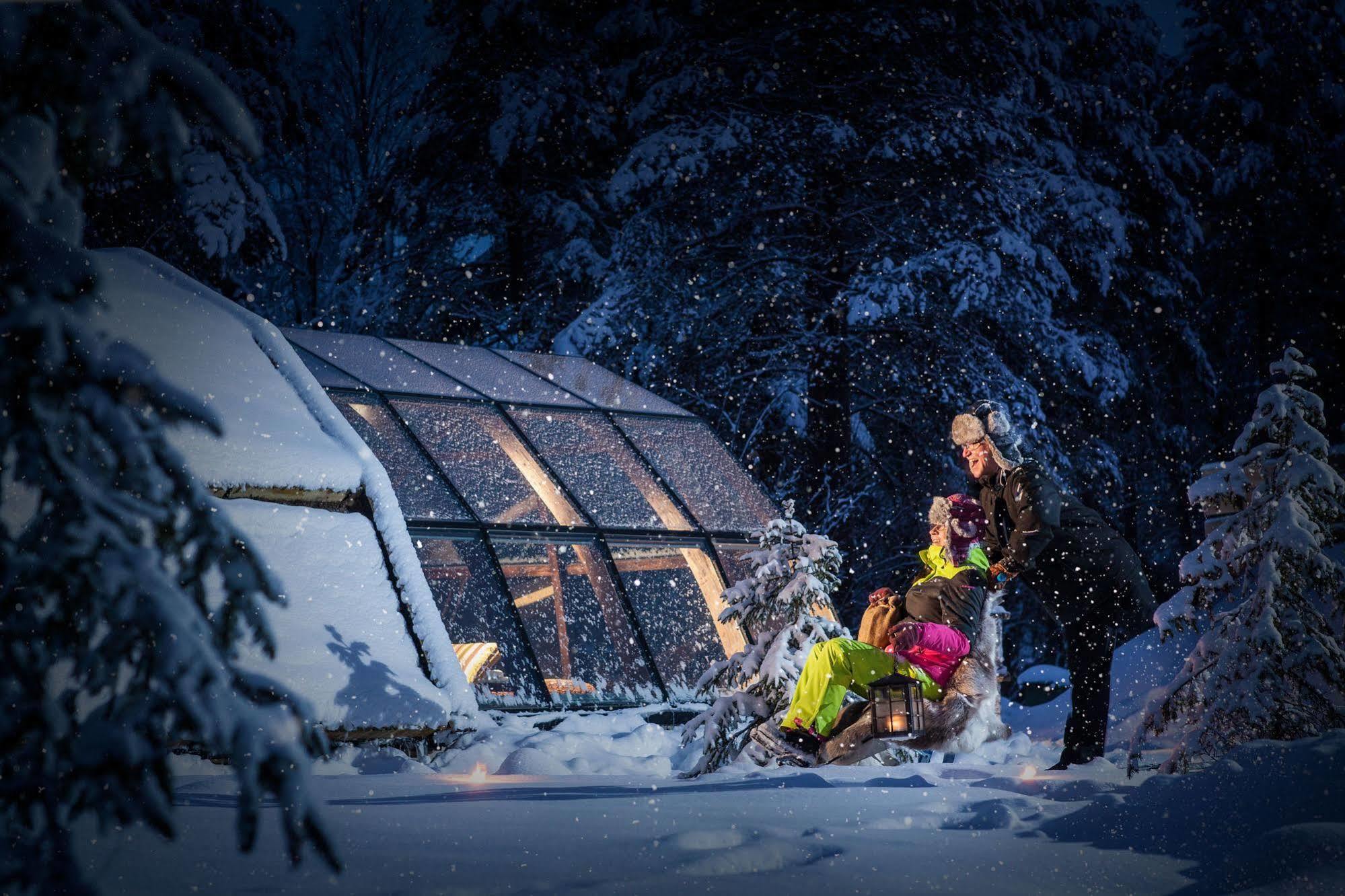 Lapland Northern Lights Hotel Ilveslinna Ranua Zewnętrze zdjęcie